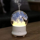BloomMist Globe